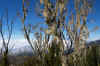kili.pays.JPG (1012268 octets)